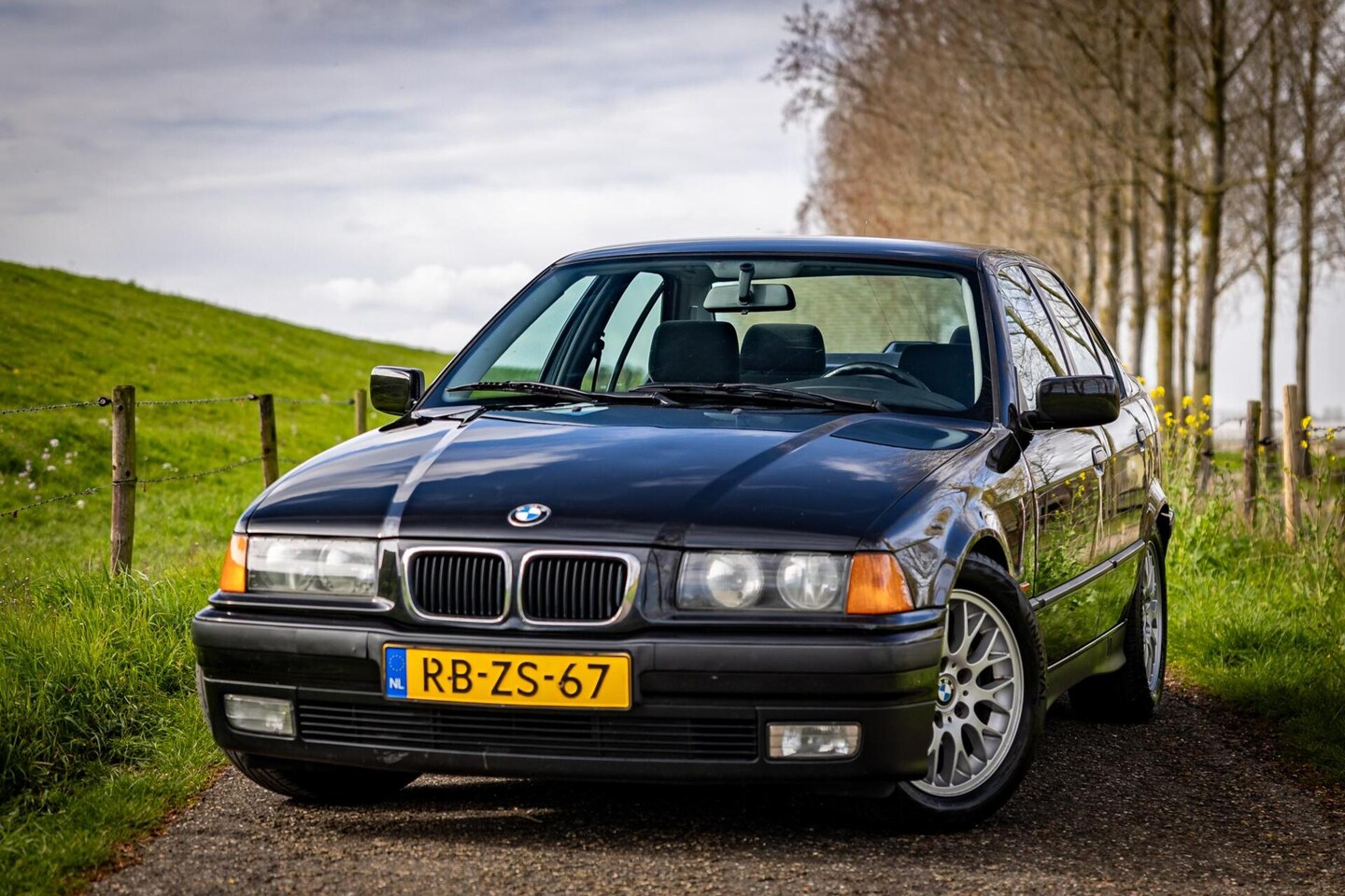 BMW 3-serie - 316i | Nap | Cruise | Airco | Trekhaak | LM Velg - AutoWereld.nl