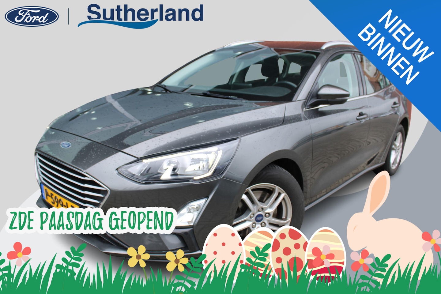 Ford Focus - 1.0 EcoBoost 125 PK Trend Edition Business | Trekhaak | Winterpack | PDC V+A | - AutoWereld.nl