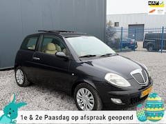 Lancia Y(psilon) - Ypsilon 1.4-16V Platino AUTOMAATCRUISEPANOCLIMAKOOPJE