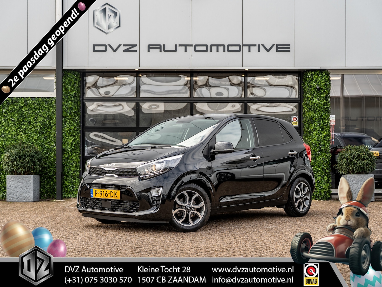 Kia Picanto - 1.0 DPi DynamicPlusLine | Carplay | Camera | Clima - AutoWereld.nl