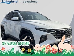 Hyundai Tucson - 1.6 T-GDI PHEV Premium Sky 4WD | Panoramadak | Dealer onderhouden | Leder | Achteruitrijca