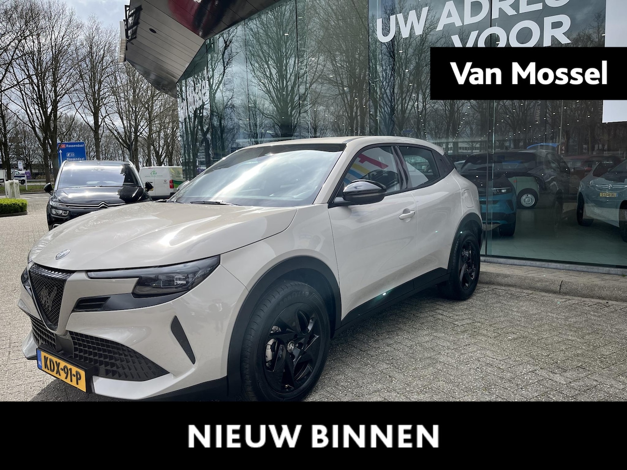 Alfa Romeo Junior - 1.2 Turbo Hybrid Ibrida | Carplay | Adaptive cruisecontrol | - AutoWereld.nl