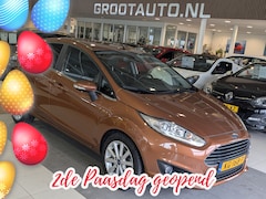 Ford Fiesta - 1.0 EcoBoost Titanium Airco, Cruise Control, Stuurbekrachtiging