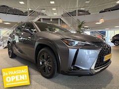 Lexus UX - 250h Luxury Line, Leder, Camera, Navi, LED, DAB+