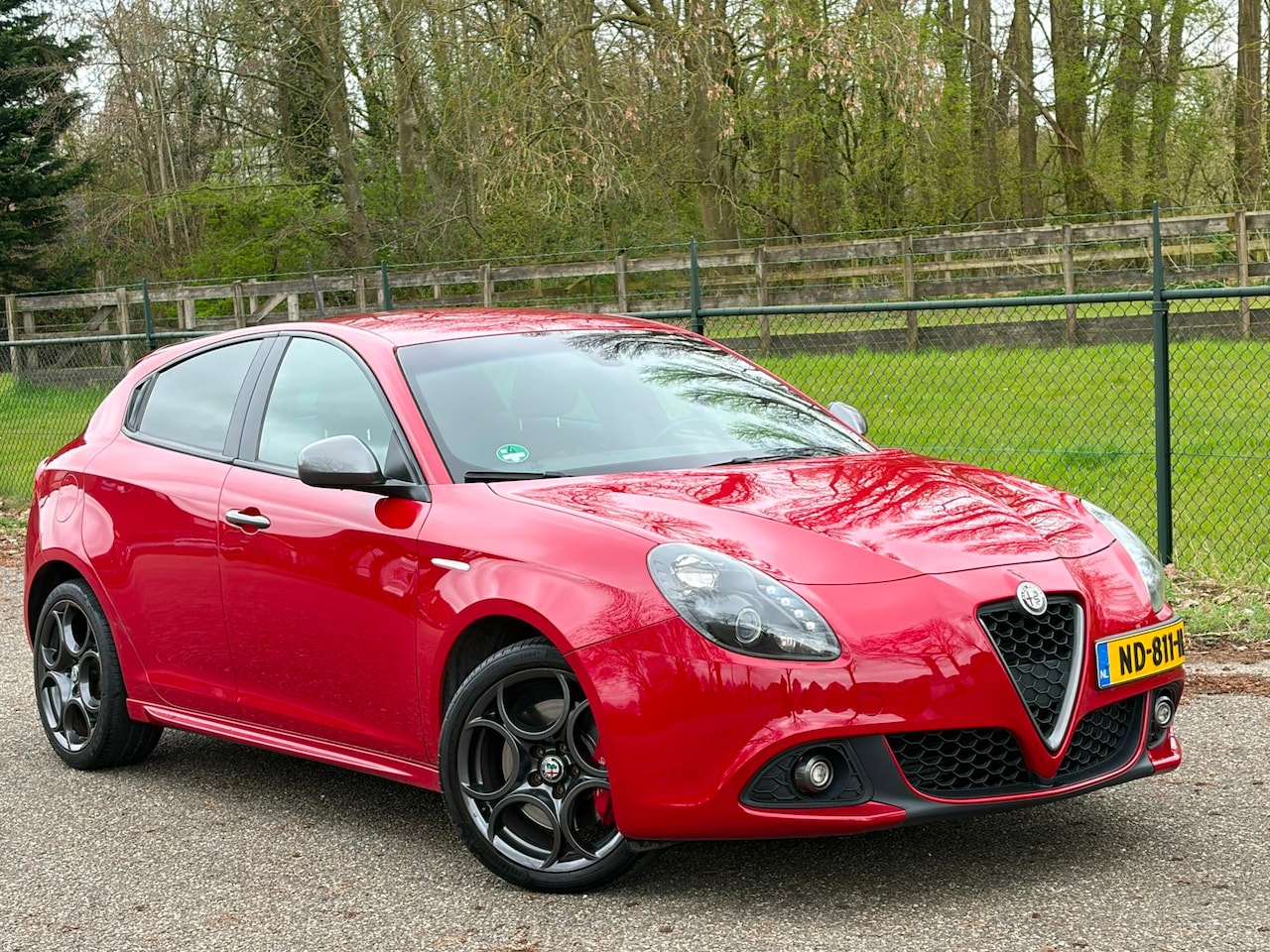 Alfa Romeo Giulietta - 1.4 Turbo MultiAir Super /Automaat/Navi/Airco/ - AutoWereld.nl
