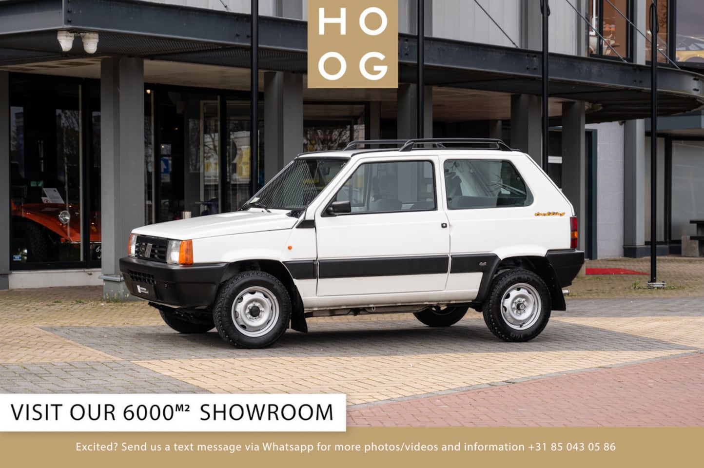 Fiat Panda - 1.1 Trekking 4x4 1.1 Trekking 4x4 - AutoWereld.nl