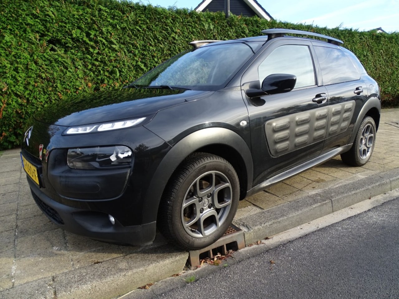Citroën C4 Cactus - C4 Cactus 1.2 PT 110 Pk SHINE-Navi-Blth-Clima-Cruise-PDc - AutoWereld.nl