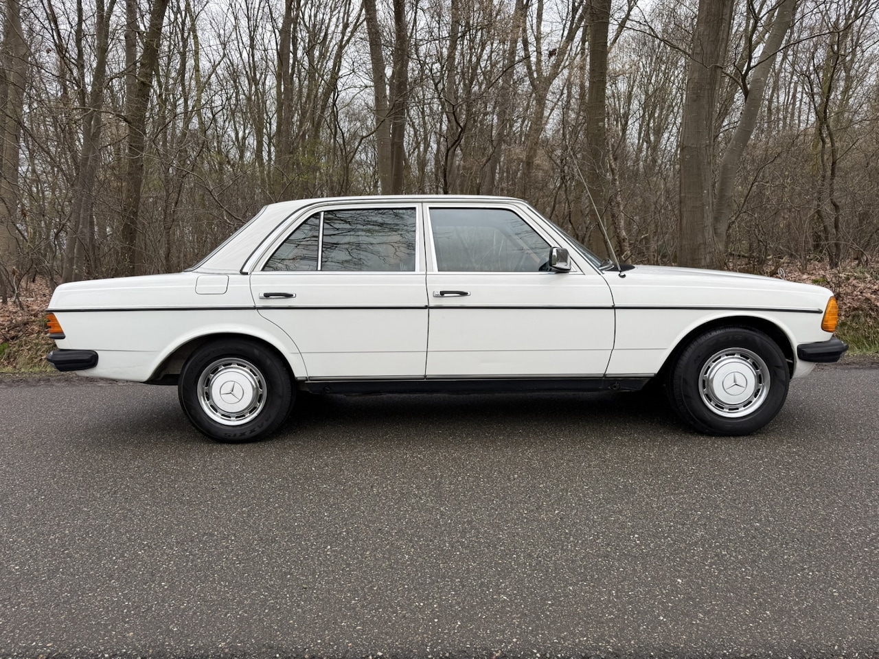 Mercedes-Benz 200-280 (W123) - 250 250 - AutoWereld.nl