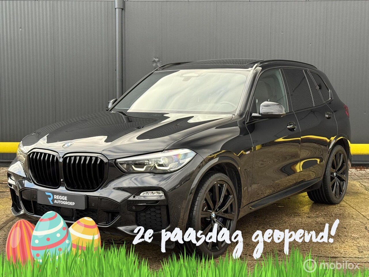 BMW X5 - xDrive30d High Executive M-PAKKET | PANORAMADAK | - AutoWereld.nl