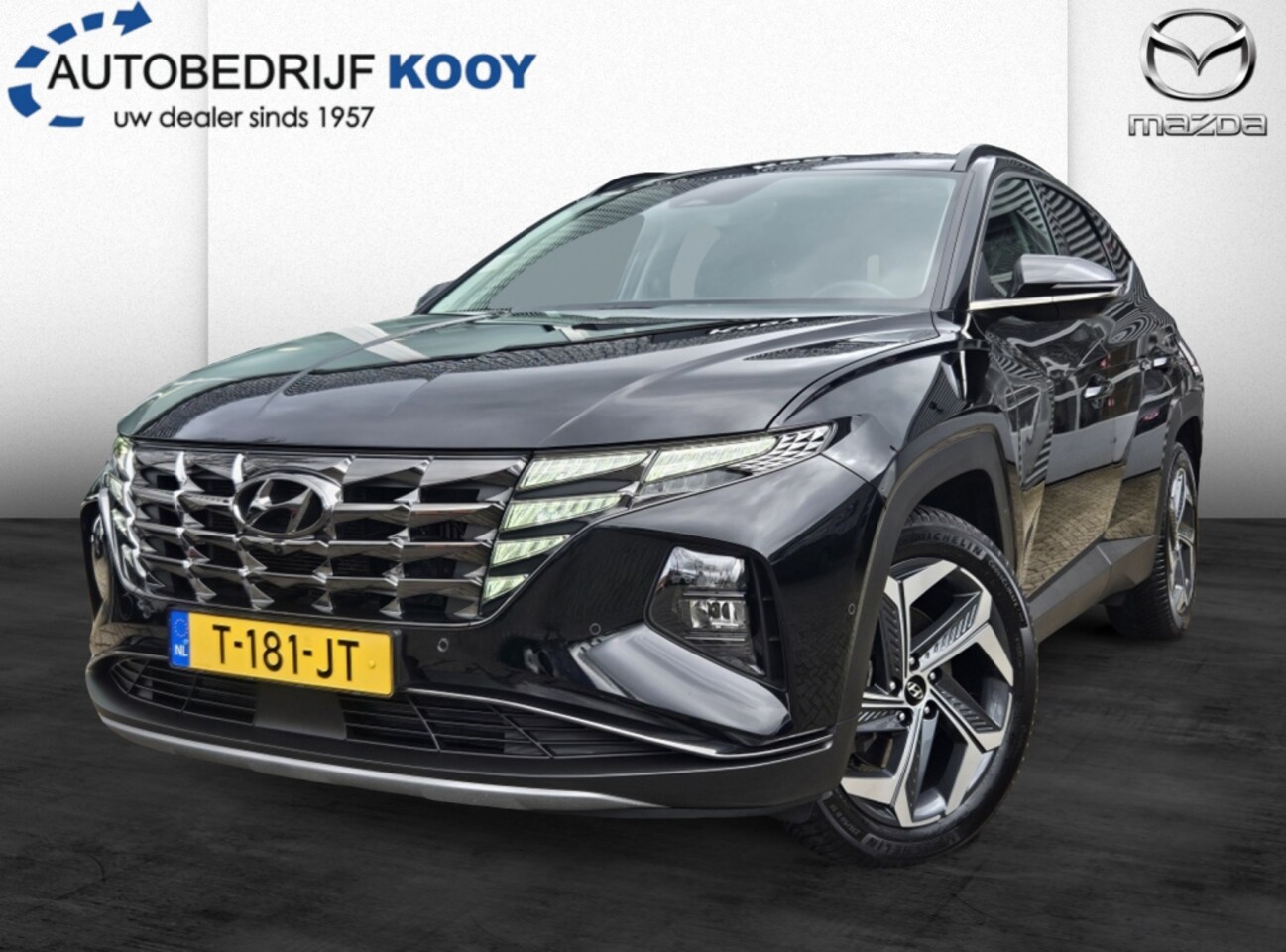 Hyundai Tucson - 1.6 T-GDI HEV Premium / Leder / 360 camera / Stoelventilatie - AutoWereld.nl