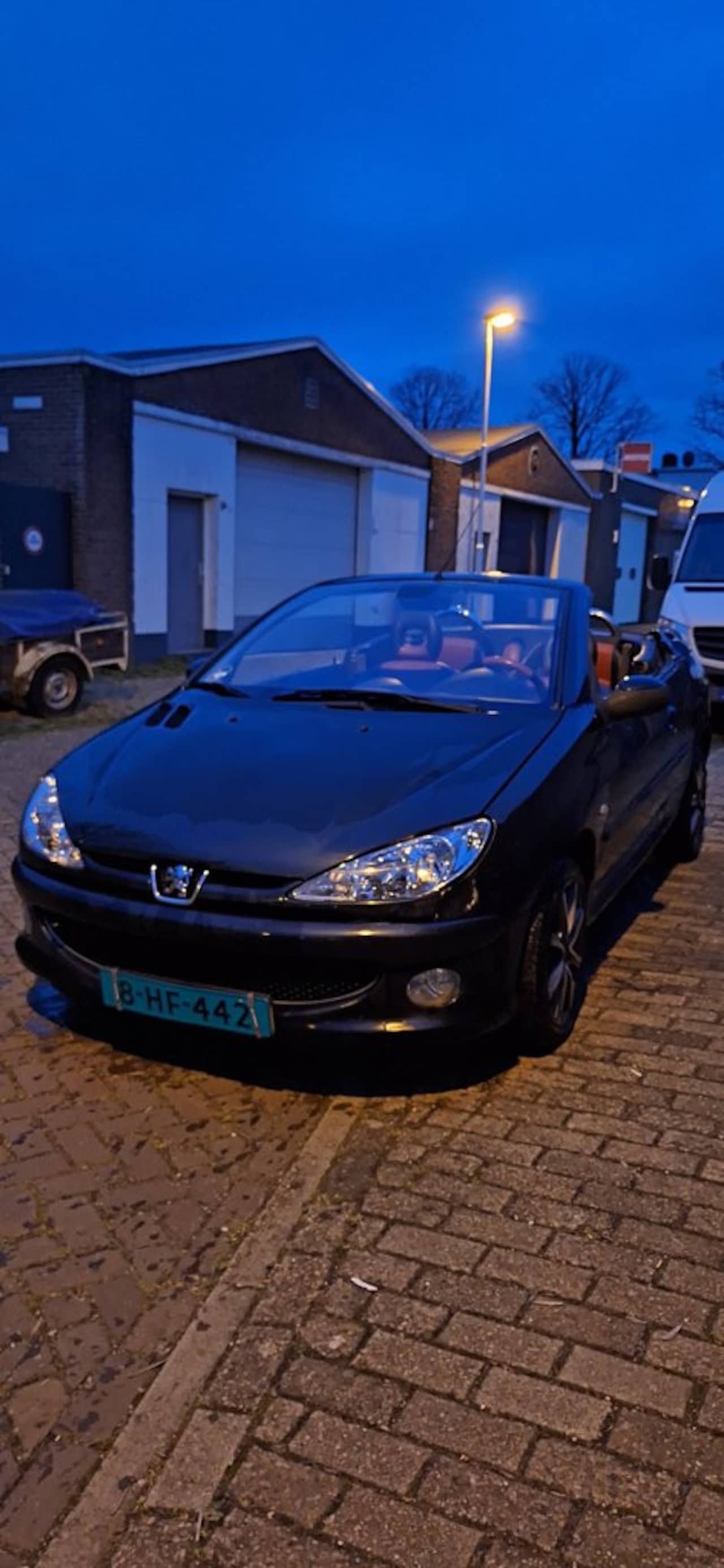 Peugeot 206 CC - 2.0-16V 2.0-16V - AutoWereld.nl