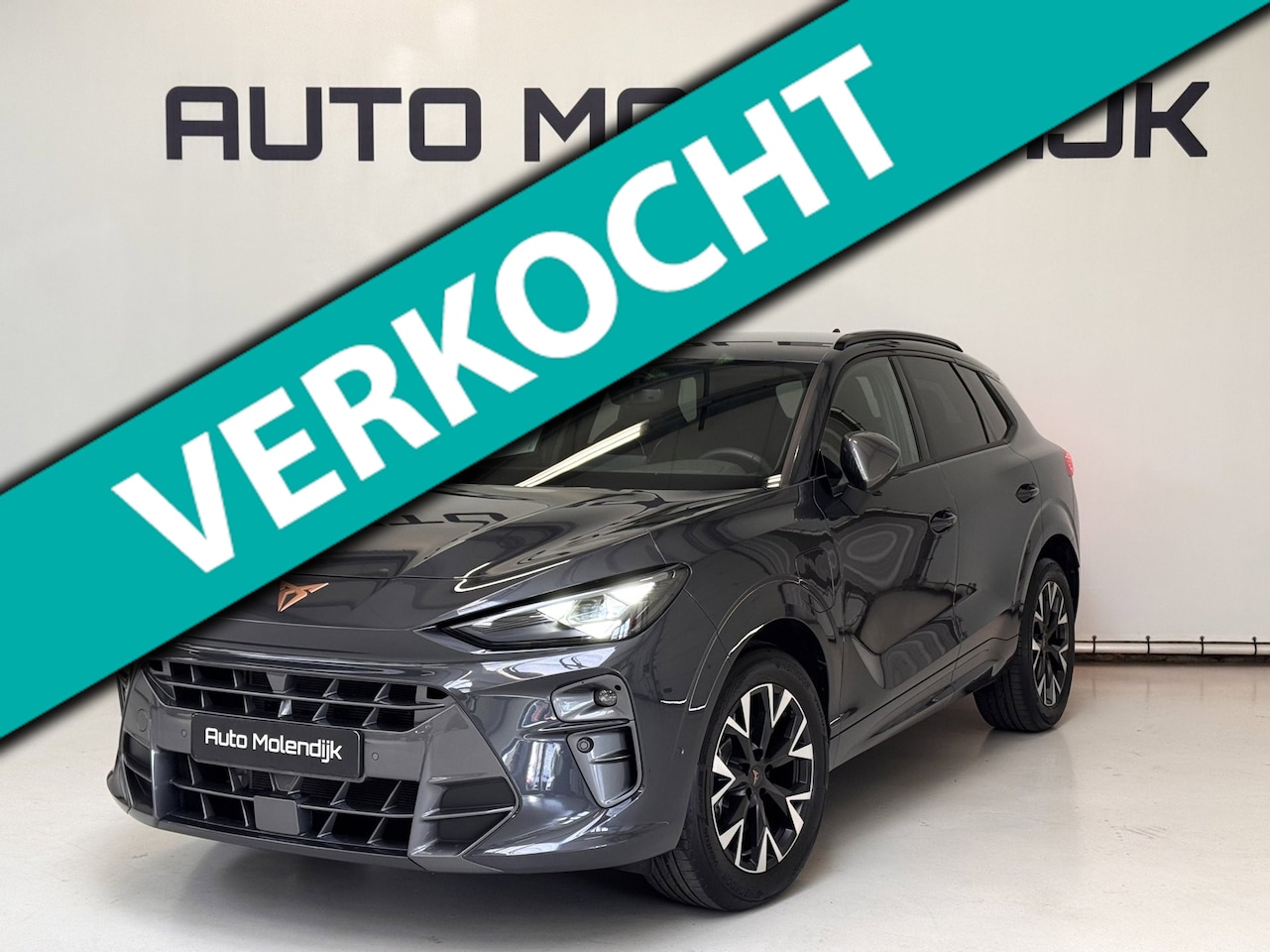 CUPRA Terramar - 1.5 TSI PHEV e-Hybrid / Memory / el. klep/tr.hk. / virtual / 5jr Garantie / VOL ! - AutoWereld.nl