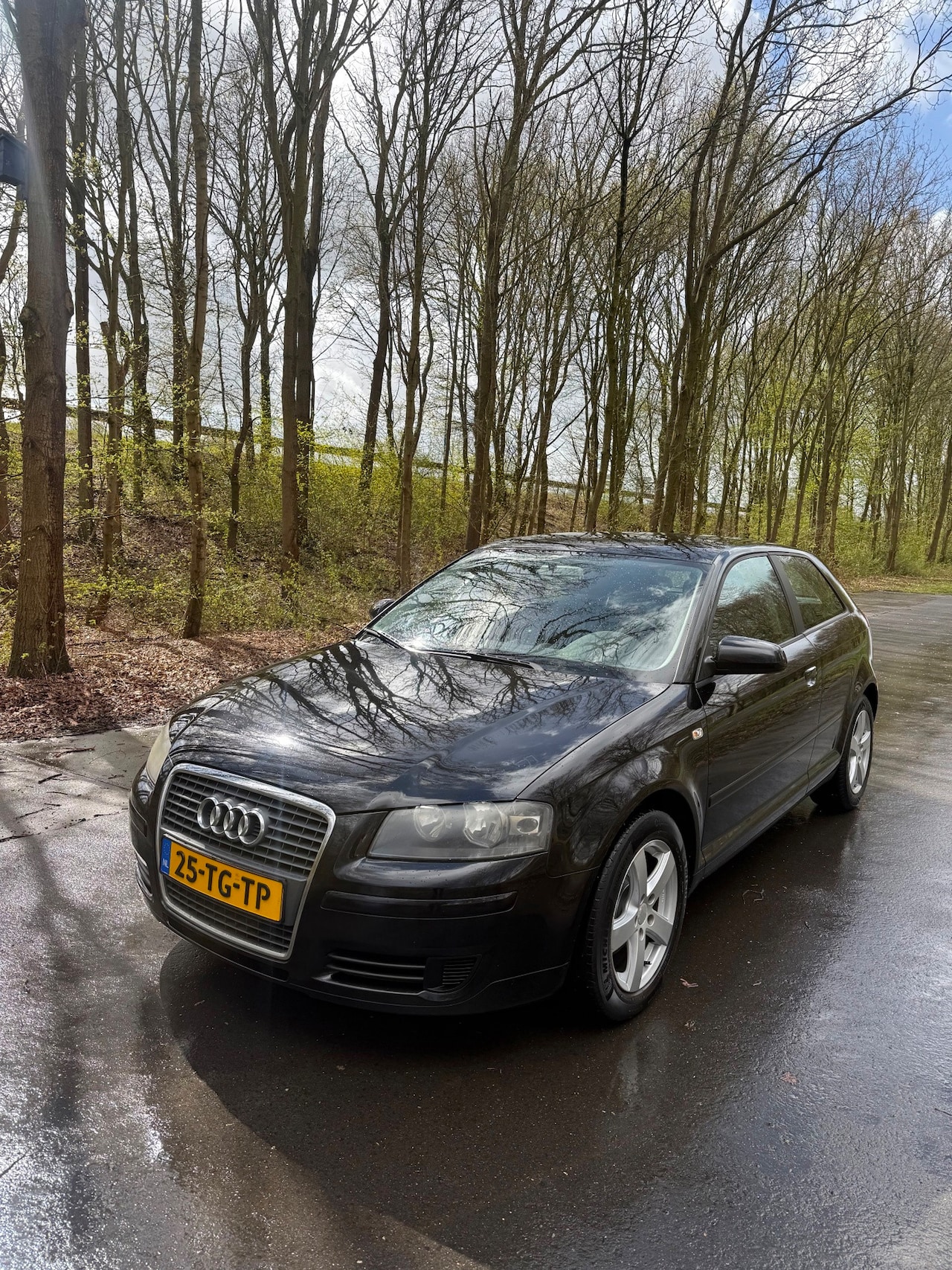 Audi A3 - 1.9 TDI Attraction Pro Line 1.9 TDI Attraction Pro Line, Nwe APK! Koopje! - AutoWereld.nl