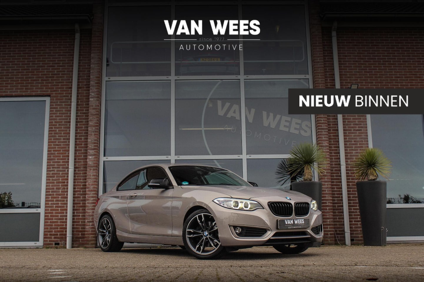 BMW 2-serie Coupé - 220i F22 Executive | 184 pk | Automaat | 18 inch | Xenon | Leer | Sportstuur | Cruise cont - AutoWereld.nl