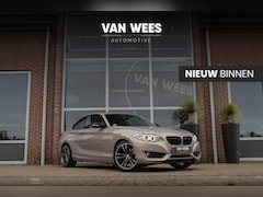 BMW 2-serie Coupé - 220i F22 Executive | 184 pk | Automaat | 18 inch | Xenon | Leer | Sportstuur | Cruise cont