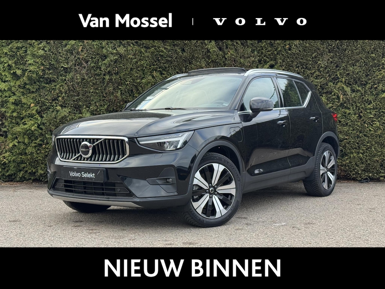 Volvo XC40 - T5 Recharge Inscription | Pilot assist | All- season | H&K Audio | Camera | Stuur + stoelv - AutoWereld.nl
