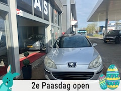 Peugeot 407 SW - 2.0-16V XS |APK 2027|ABS Lamp brand MEENEEMPRIJS