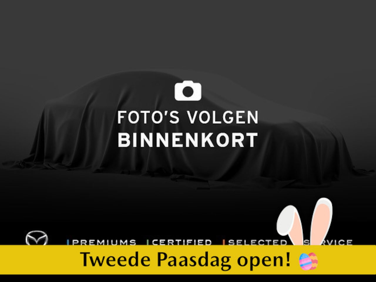 Audi e-tron - 55 quattro Business edition | Panoramadak - AutoWereld.nl