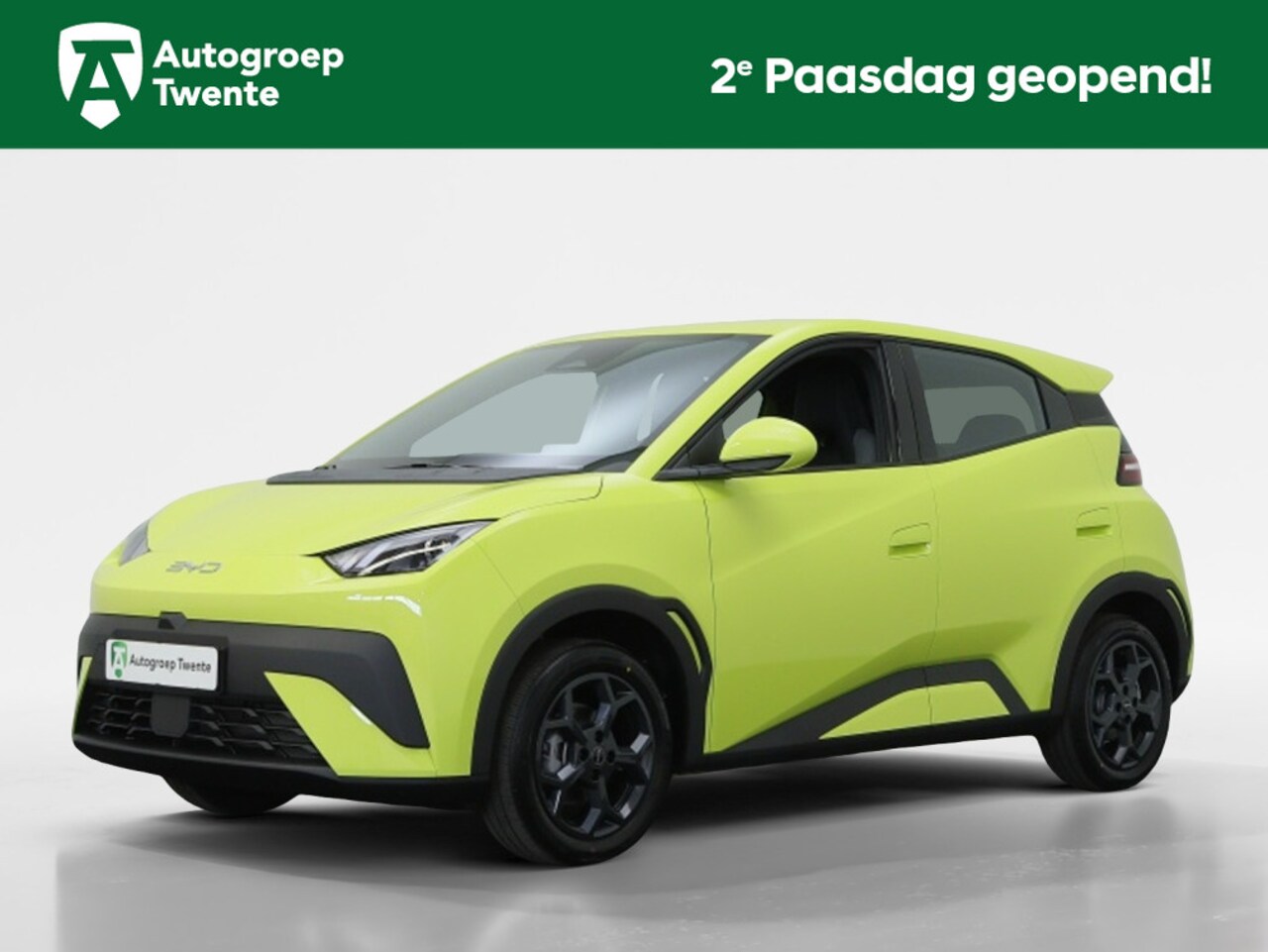 BYD Dolphin Surf - Boost 43 kWh | Private Lease 409,- p.m. | Navigatie | - AutoWereld.nl