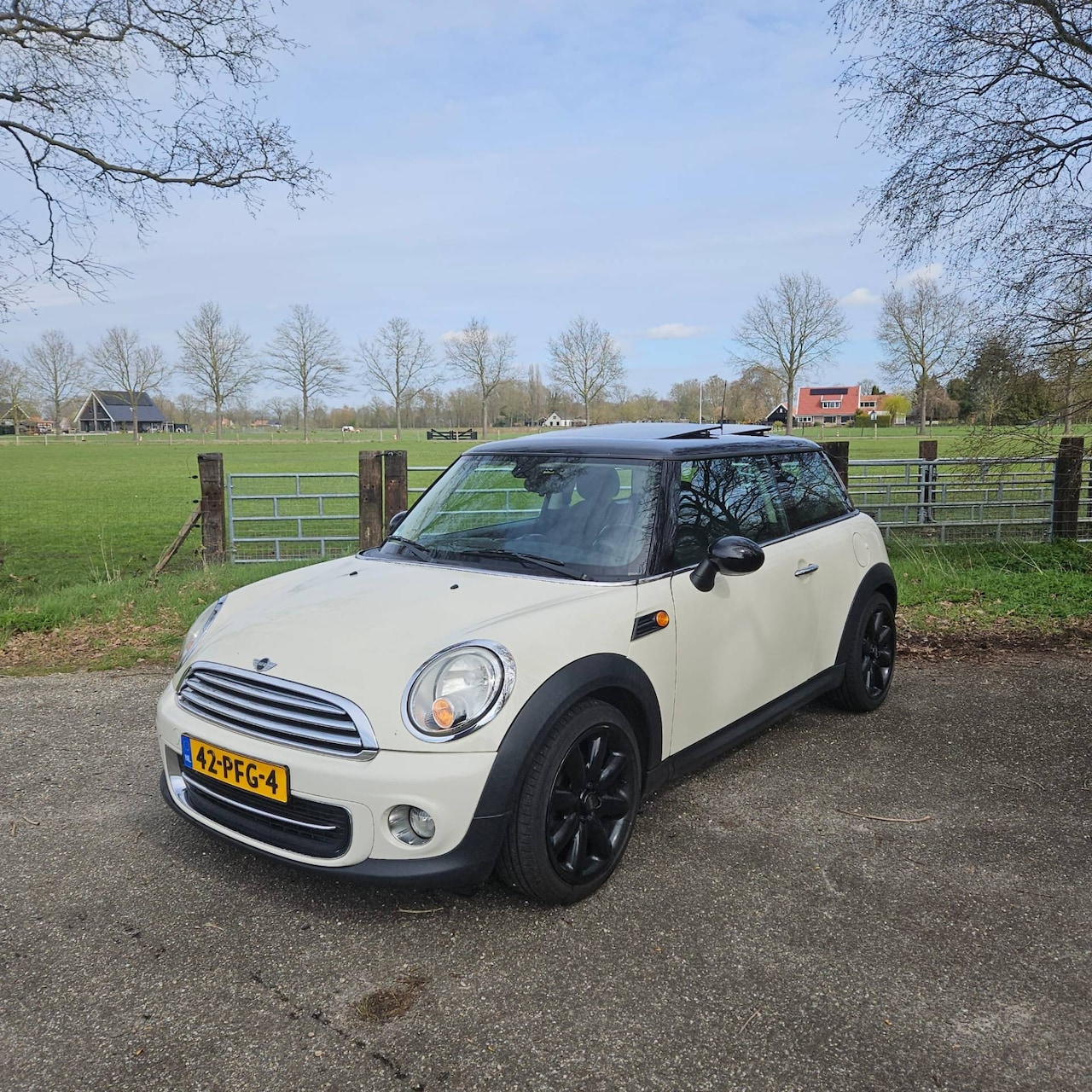 MINI Cooper - Mini 1.6 Pepper. Panoramadak,Half leer,17". - AutoWereld.nl