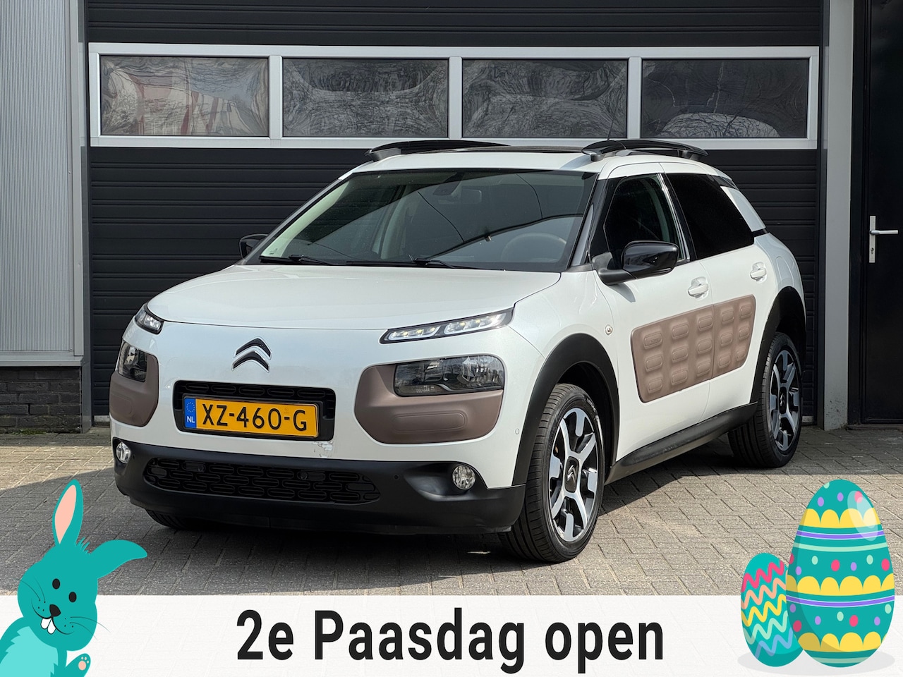 Citroën C4 Cactus - 1.2 PureTech Business Plus Pano, Navi, Camera, Cruise - AutoWereld.nl