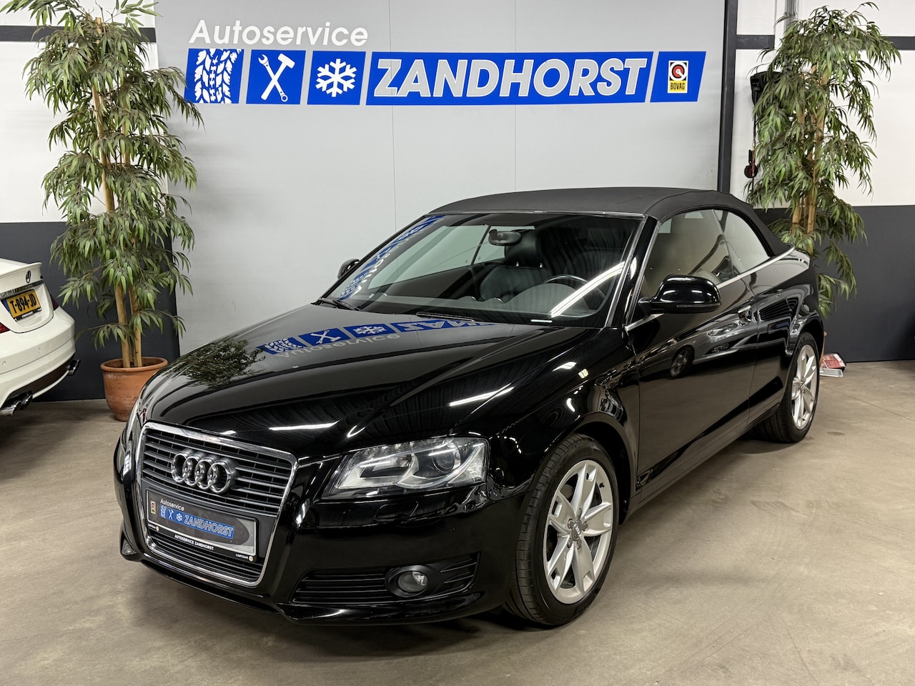 Audi A3 Cabriolet - 1.8 TFSI Attraction // Leer // Ecc // LM velgen - AutoWereld.nl