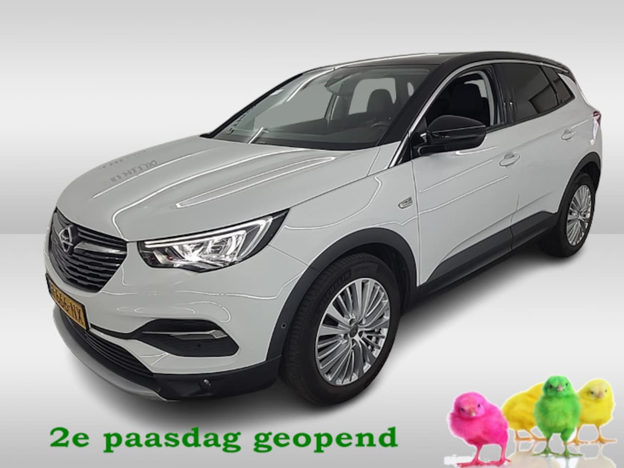 Opel Grandland X - 1.2 Turbo Innovation 1e-Eig. & Dealer-Onderh. BOVAG-Garantie. NL-Auto. - AutoWereld.nl