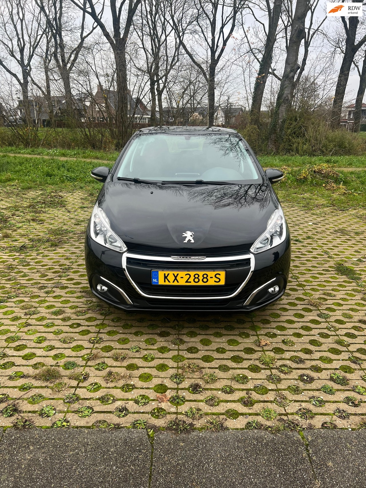 Peugeot 208 - 1.2 PureTech Blue Lion 1.2 PureTech Blue Lion - AutoWereld.nl