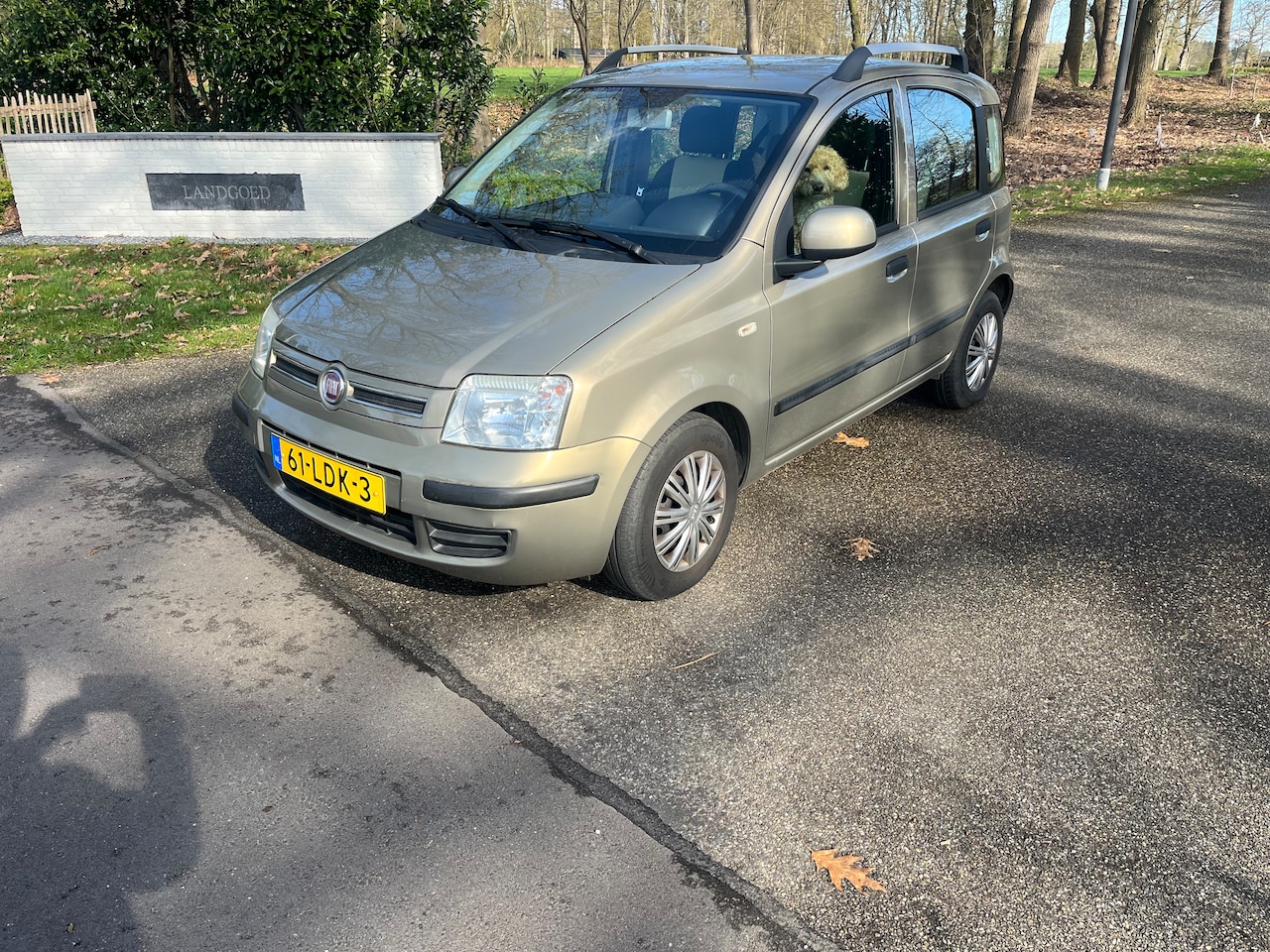 Fiat Panda - 1.2 Edizione Cool 75000 km !!! - AutoWereld.nl