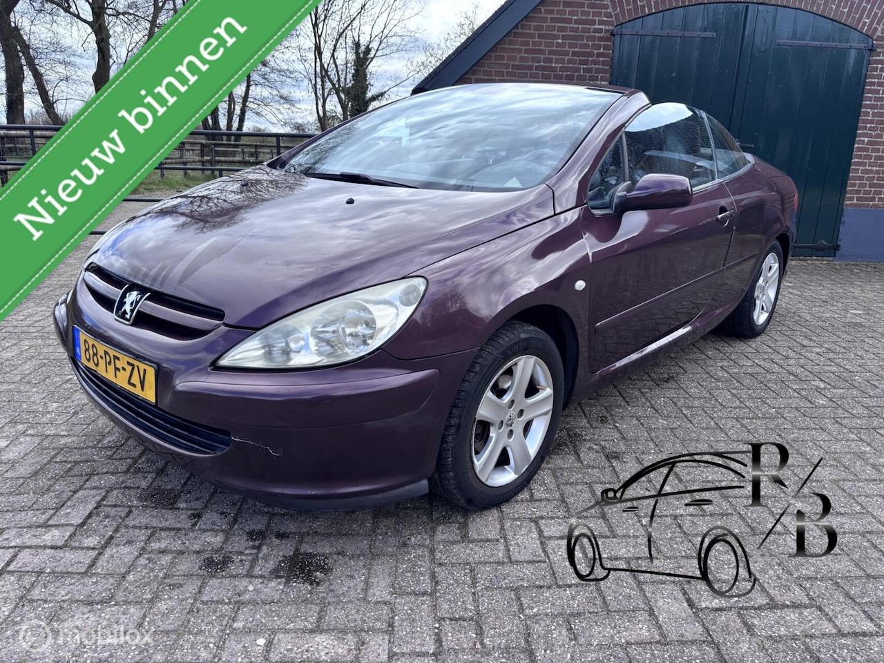 Peugeot 307 CC - 2.0-16V AIRCO PARK SENS CRUISE GOEDE AUTO - AutoWereld.nl