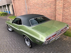 Dodge Challenger - Dodge Challenger V8 318cui matching-numbers. ORIGINELE LAK.