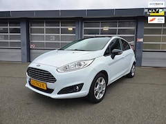 Ford Fiesta - White Edition Zwarte Dak