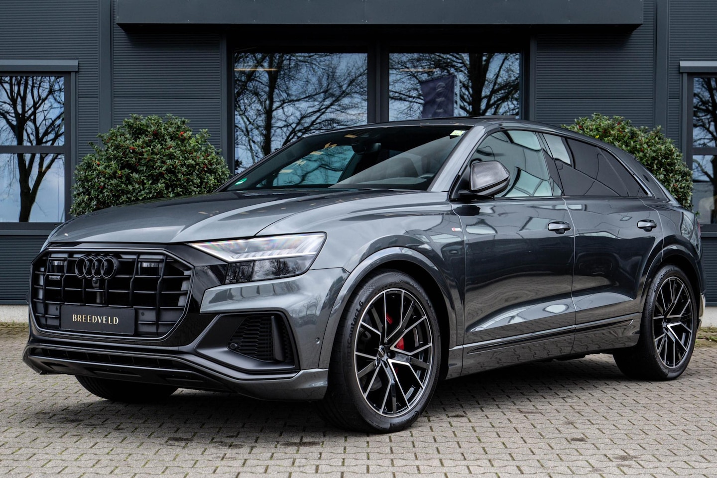 Audi Q8 - 55 TFSI quattro Pro Line Advanced 55 TFSI quattro Pro Line Advanced - AutoWereld.nl