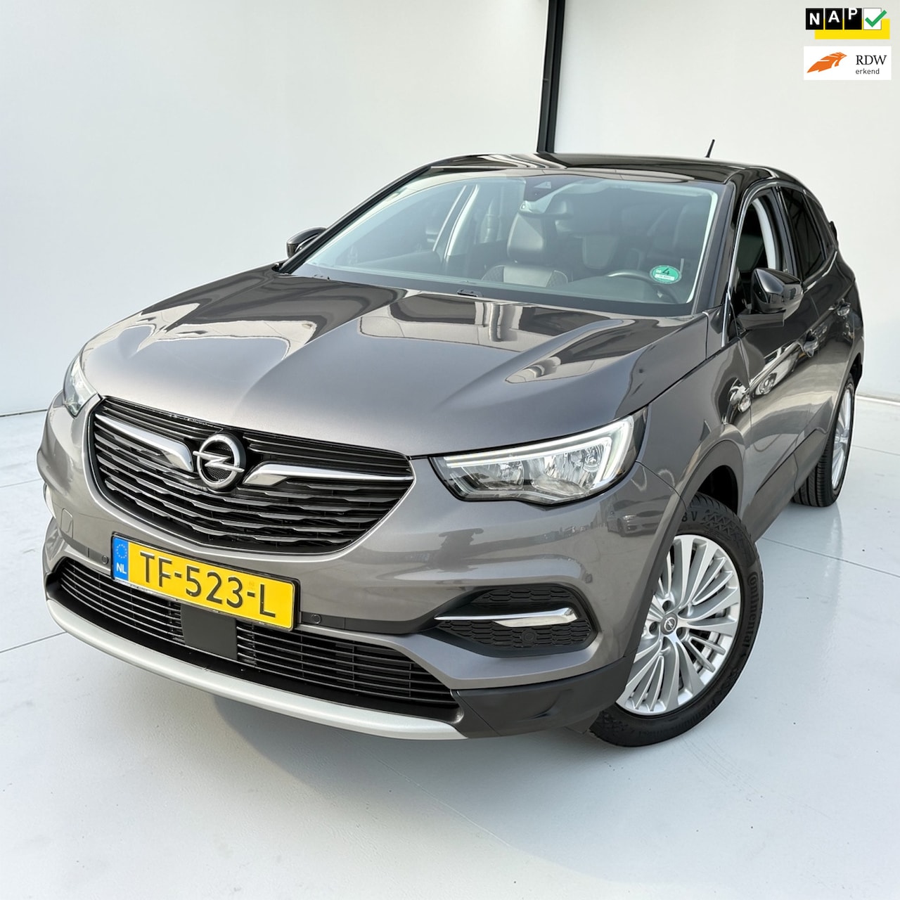 Opel Grandland X - 1.2 Turbo Business Executive panoramadak - AutoWereld.nl