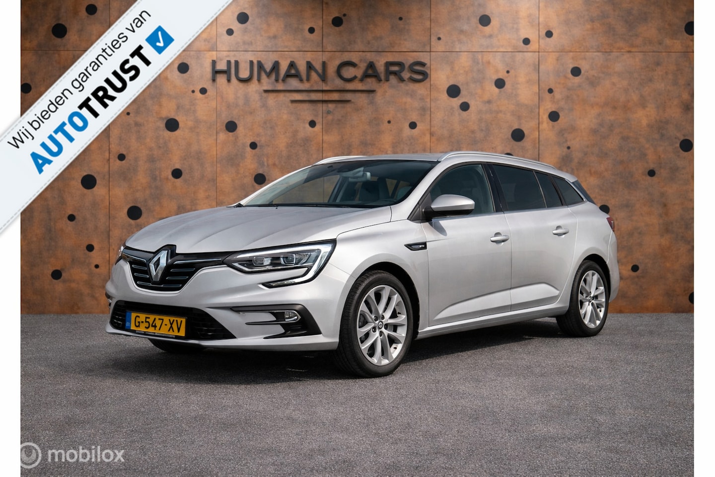 Renault Mégane Estate - 1.3 TCe GT-Line 40pk 2019 camera sport - AutoWereld.nl