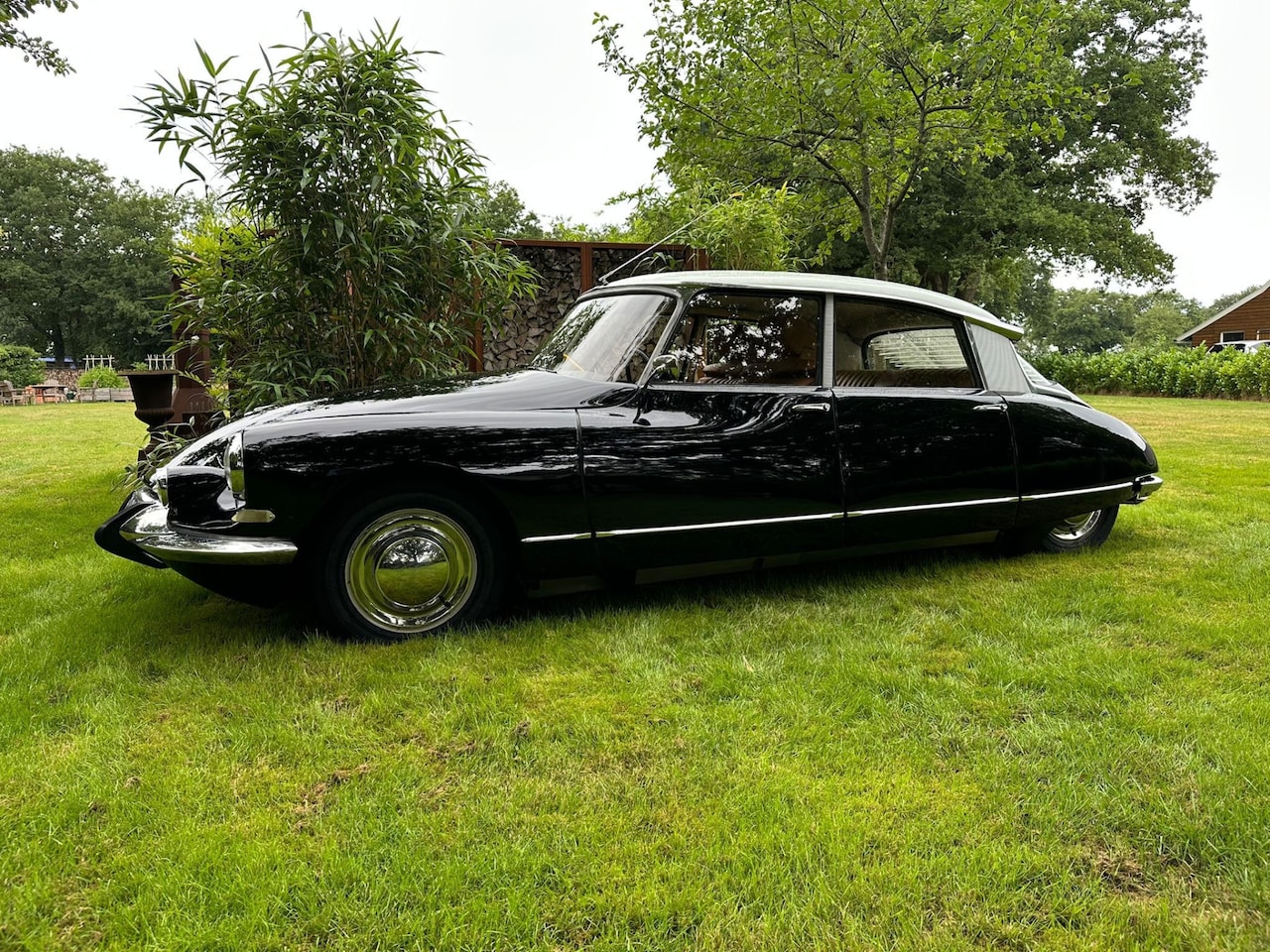 Citroën DS - 19 Hydraulique automaat - AutoWereld.nl