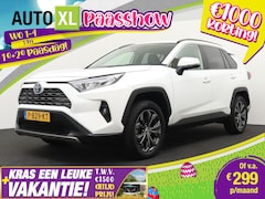 Toyota RAV4 - 2.5 Hybrid Business+ JBL 360* Camera Leder