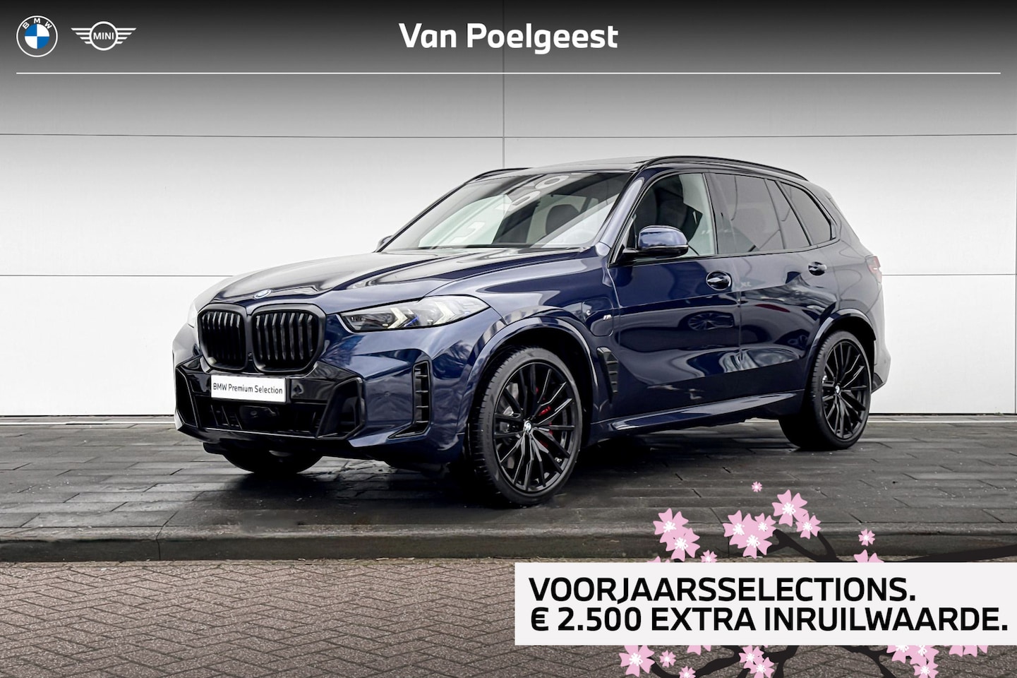 BMW X5 XDRIVE50E