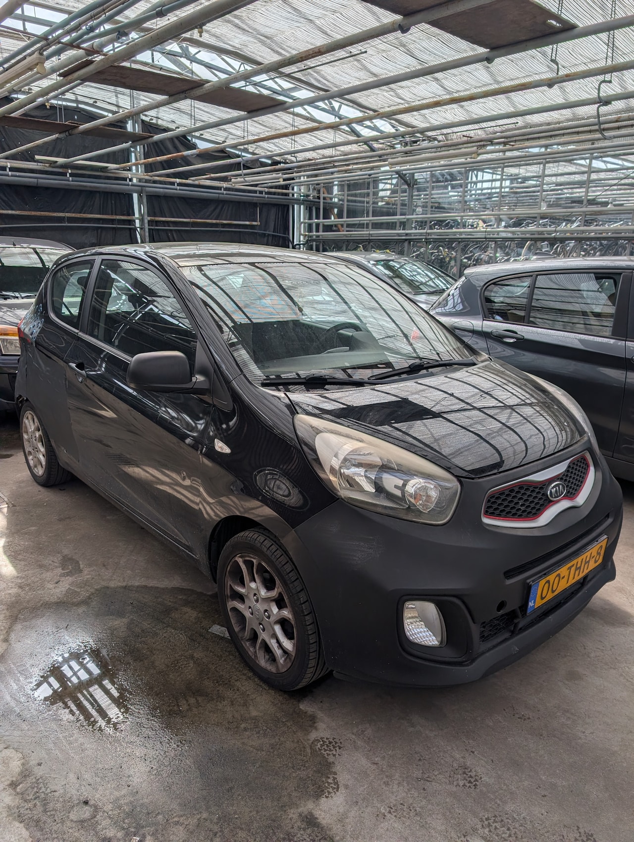 Kia Picanto - 1.0 CVVT Comfort Pack Export / Handel / Zie tekst / NAP / Lage KM / Airco - AutoWereld.nl