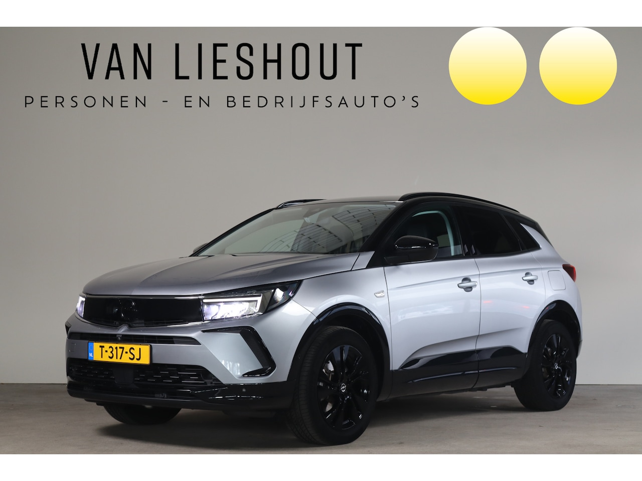 Opel Grandland - 1.6 Turbo Plug-In Hybrid Level 4 - NL- Auto!! Camera I Stuurverw I Cruise adap -- 2e PAASD - AutoWereld.nl