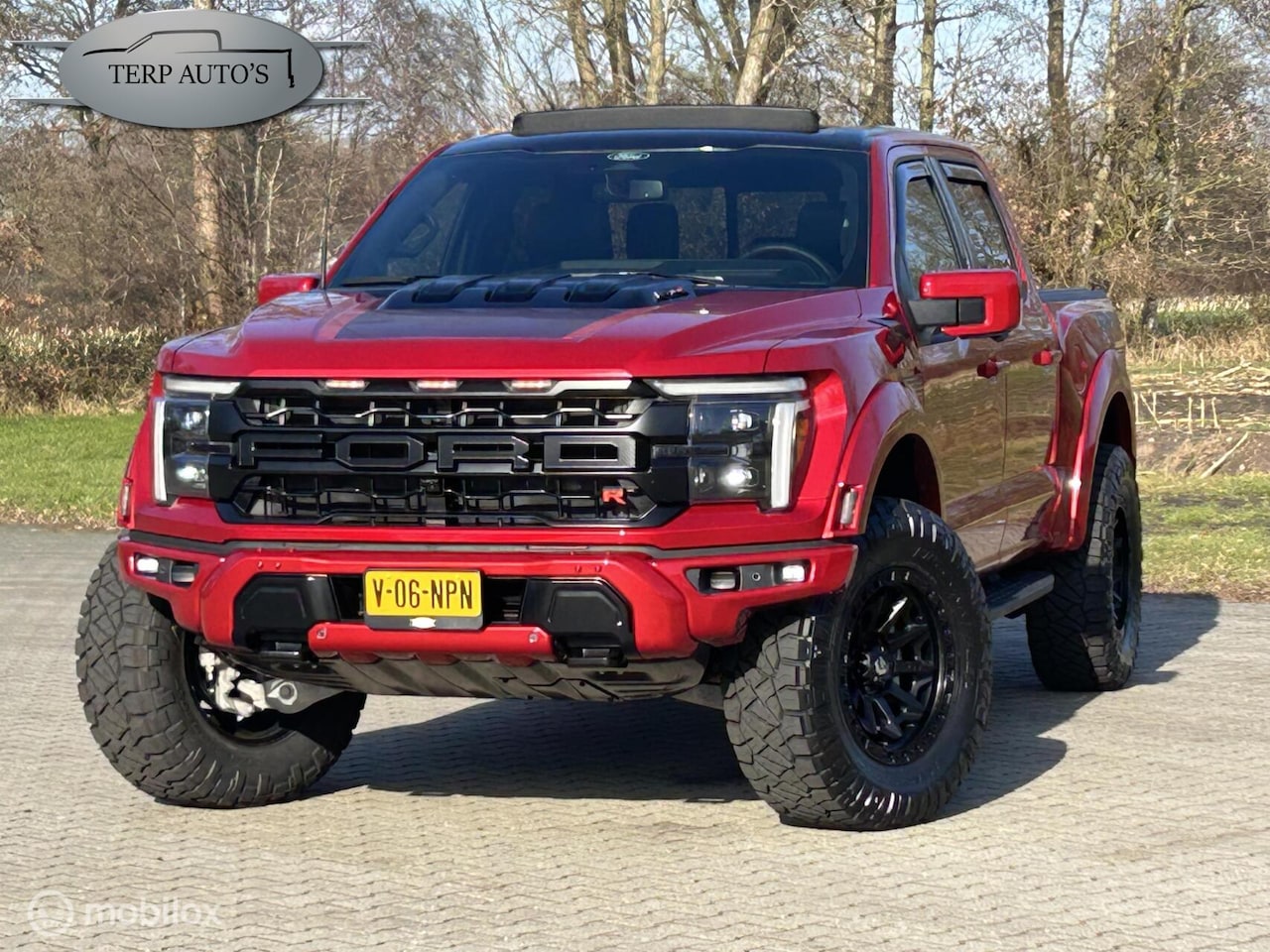 FORD F-150 RAPTOR R