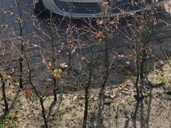 Volkswagen Polo - 1.4-16V Turijn