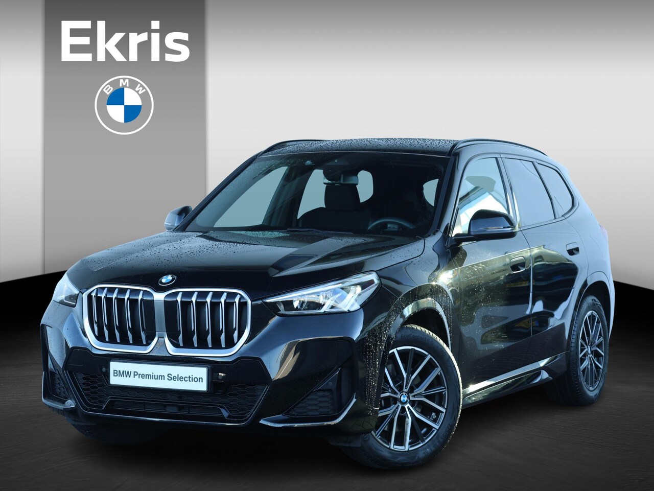 BMW X1 - sDrive20i M Sportpakket/ Elektrische Trekhaak/ Sportstoelen/ Sportstoelen/ Getint Glas/ Ac - AutoWereld.nl