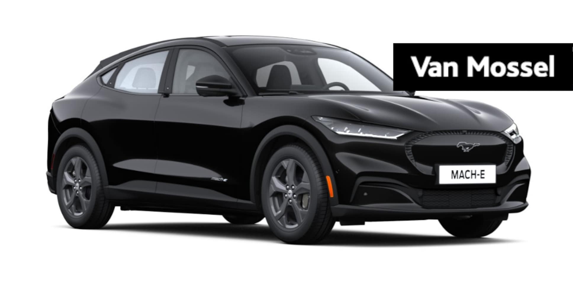 Ford Mustang Mach-E - RWD 75 kWh | Te bestellen | - AutoWereld.nl