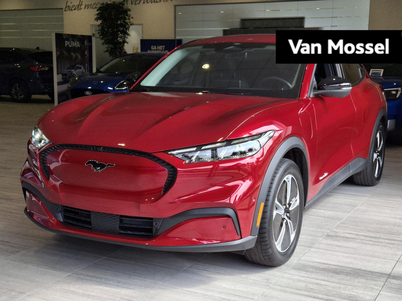 Ford Mustang Mach-E - Standard RWD 75 kWh NU MET 2.000 , - VOORDEEL! - AutoWereld.nl