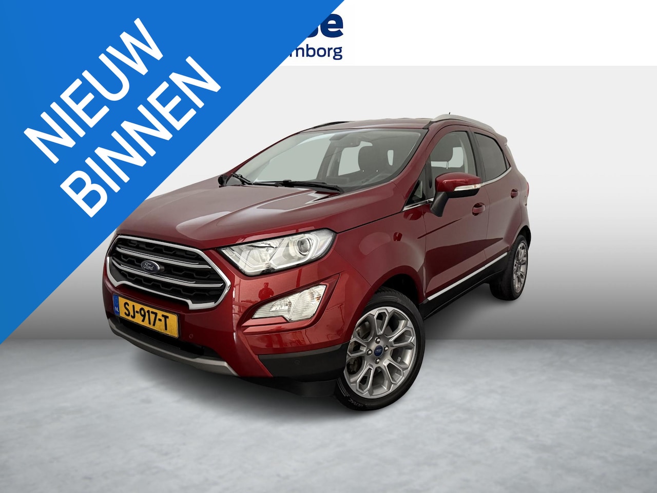 Ford EcoSport - Ecosport 125pk | Winterpack | Trekhaak | 17" Lichtmetalen velgen | B&O | BLIS - AutoWereld.nl