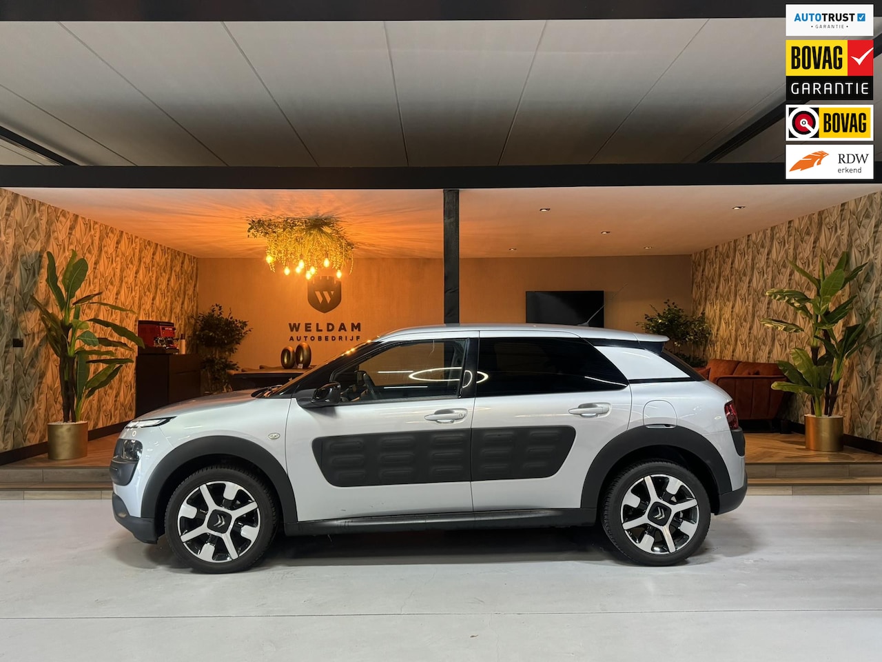 Citroën C4 Cactus - 1.2 PureTech Shine NAP Garantie Trekhaak Cruise Navi Led Clima Rijklaar - AutoWereld.nl