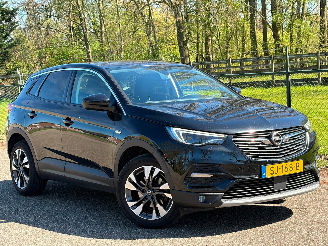 Opel Grandland X - 1.2 Turbo Business Executive /Automaat/Xenon/Carplay/ - AutoWereld.nl