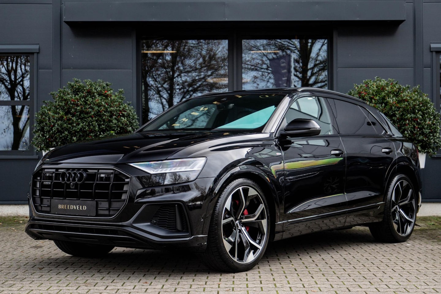 Audi Q8 - 55 TFSI quattro Pro Line Plus 55 TFSI quattro Pro Line Plus - AutoWereld.nl