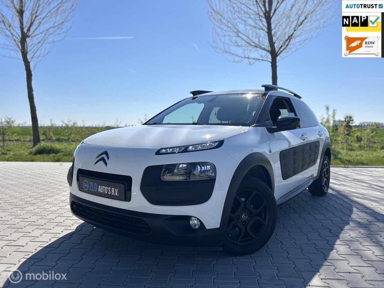 Citroën C4 Cactus - 1.2 e-THP Shine|APK|PANO|AIRCO|NAVI| - AutoWereld.nl